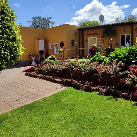Finca El Trazo Tacoronte Dış mekan fotoğraf