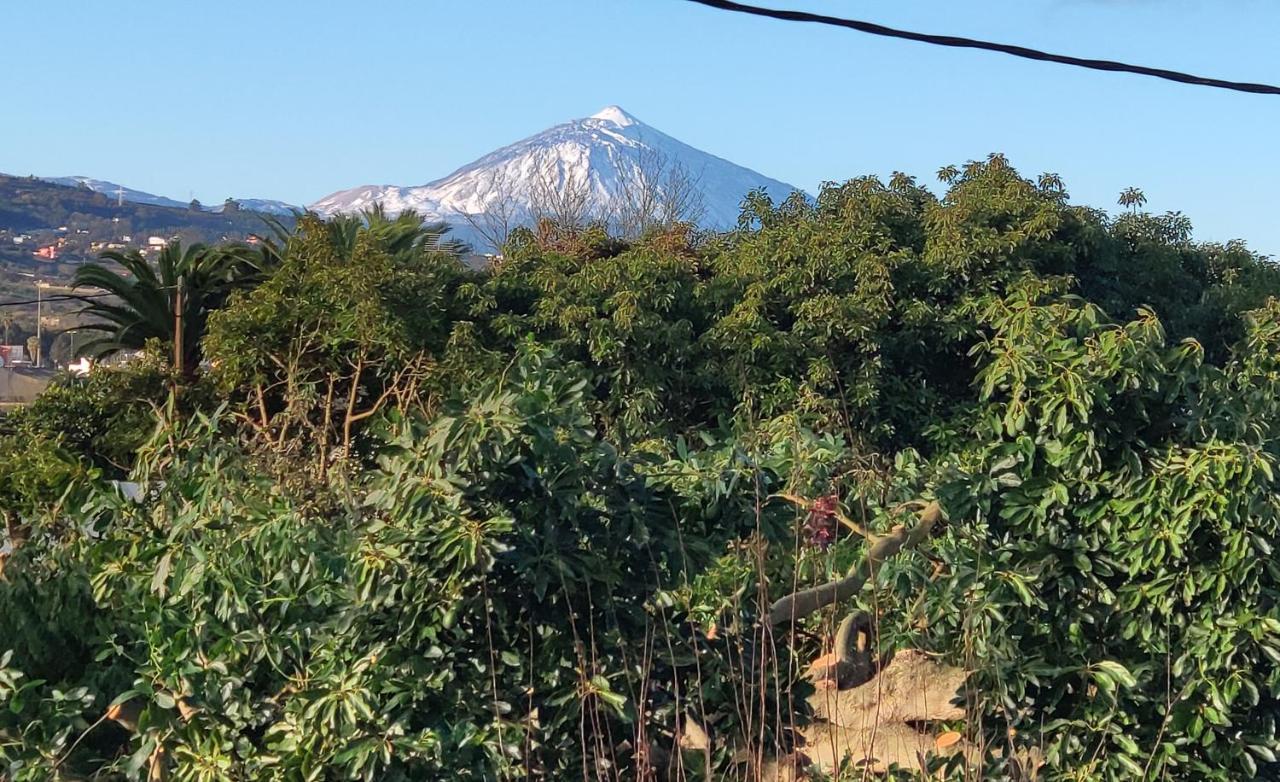 Finca El Trazo Tacoronte Dış mekan fotoğraf