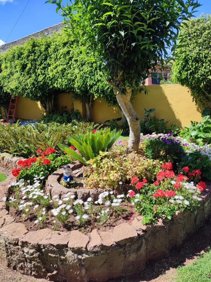 Finca El Trazo Tacoronte Dış mekan fotoğraf