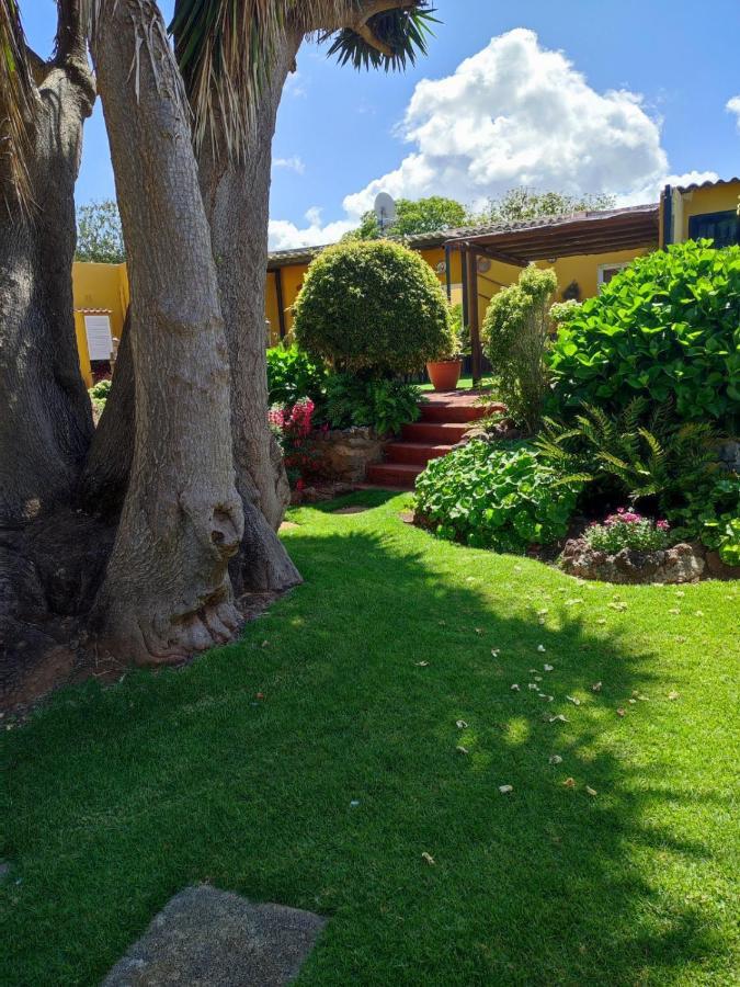 Finca El Trazo Tacoronte Dış mekan fotoğraf
